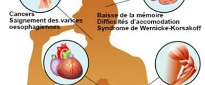 Effets de l'alcool sur le corps